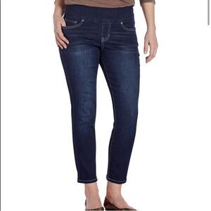 JAG jeans high rise slim ankle jeans Sz 0 EUC